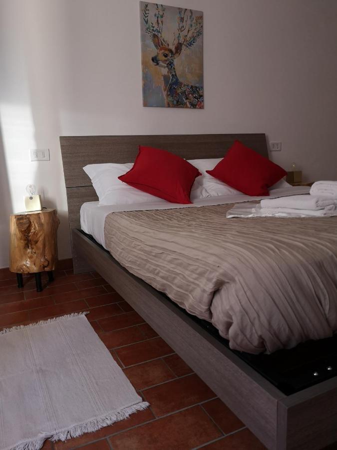 Agriturismo Il Noceto Vila Assisi Exterior foto